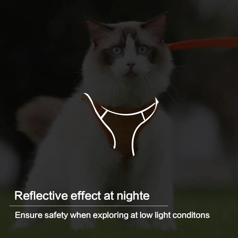 Cat Walking Harness & Leash 😺 – Lightweight Vest-Style Pet Set