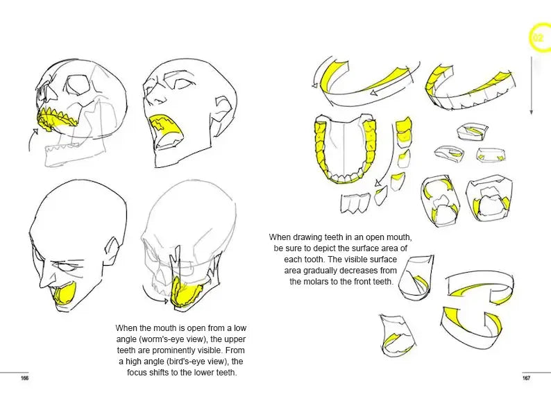 Secret Character Drawing + Point Character Drawing Set | Korean(📚HARDCOVER BOOK)