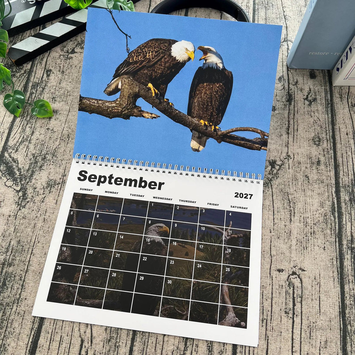 2027 Jackie & Shadow Soaring Eagles Wall Calendar 🦅 Stunning Wildlife Photography, 1-Count