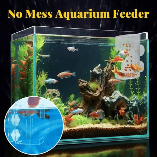 🐠 Round Aquarium Feeder – Clean, Hands-Free Feeding Without the Mess