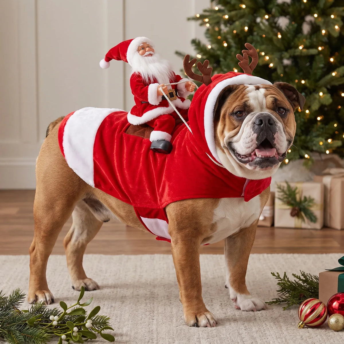 ⭐️🎅 SantaRider™ Christmas Dog Costume-Turn Your Dog Into Santa’s Funniest Christmas Ride! 🐶🎄