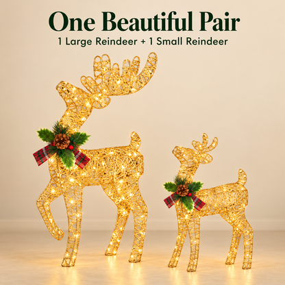 🎄🦌 Light-Up Christmas Reindeer Duo – Warm White LED Holiday Decorations ✨