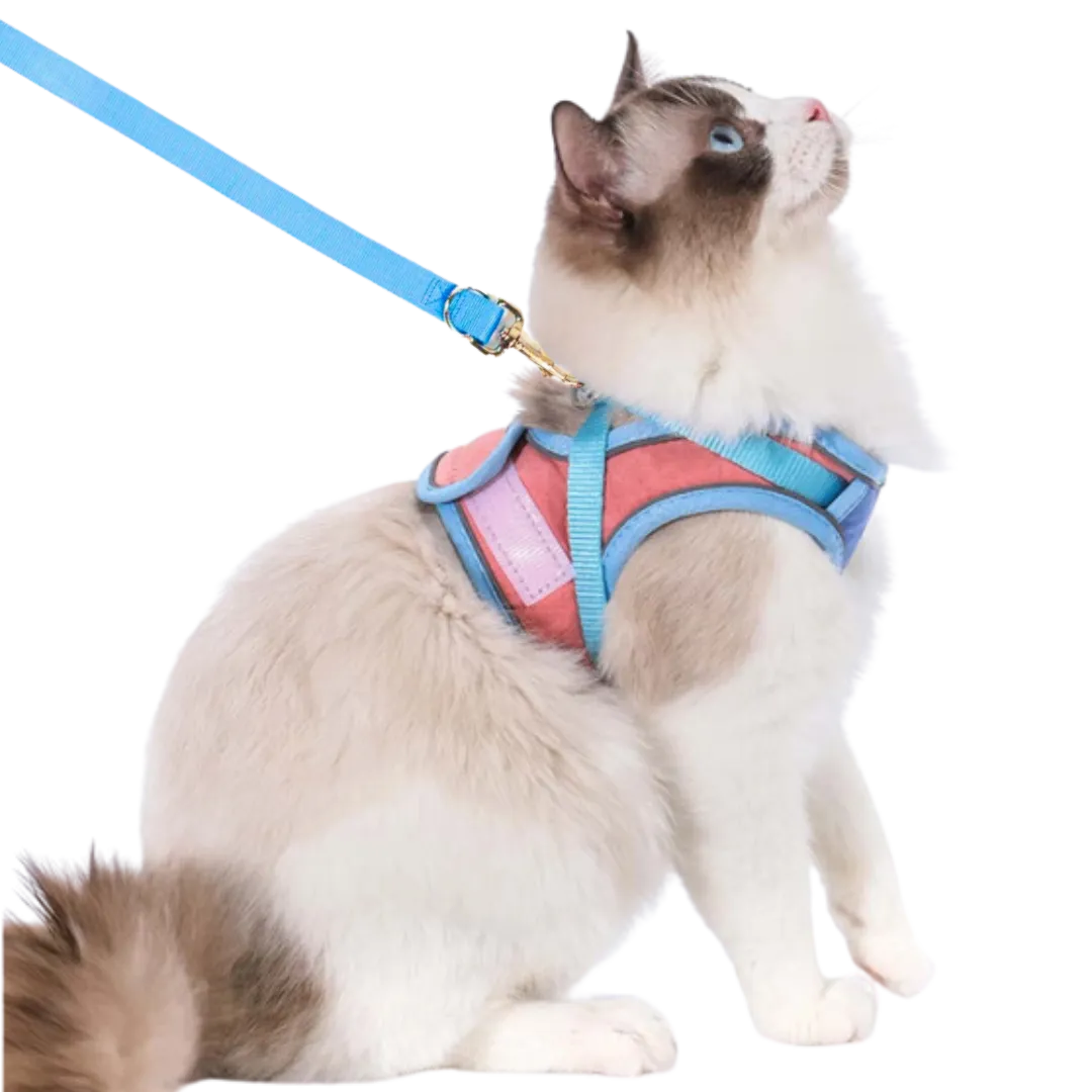 Cat Walking Harness & Leash 😺 – Lightweight Vest-Style Pet Set