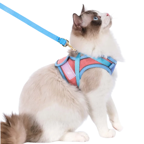 Cat Walking Harness & Leash 😺 – Lightweight Vest-Style Pet Set