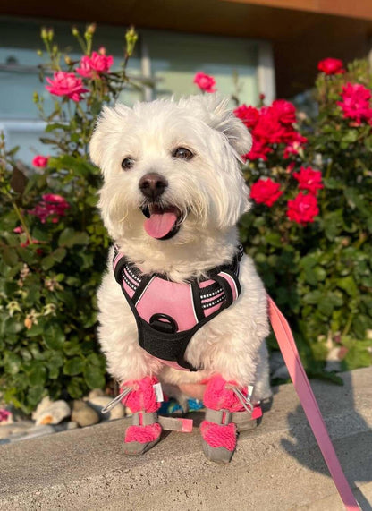 🐾 Vest-Style Pet Harness & Leash Set – Comfortable Everyday Walks