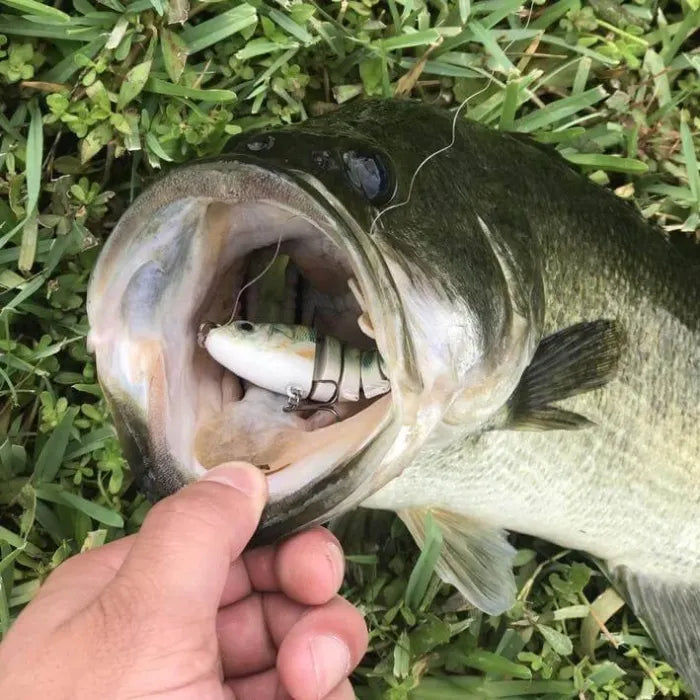🔥HOT Sale🔥Bionic Lure —Catch Big Fish Fast! 🎣