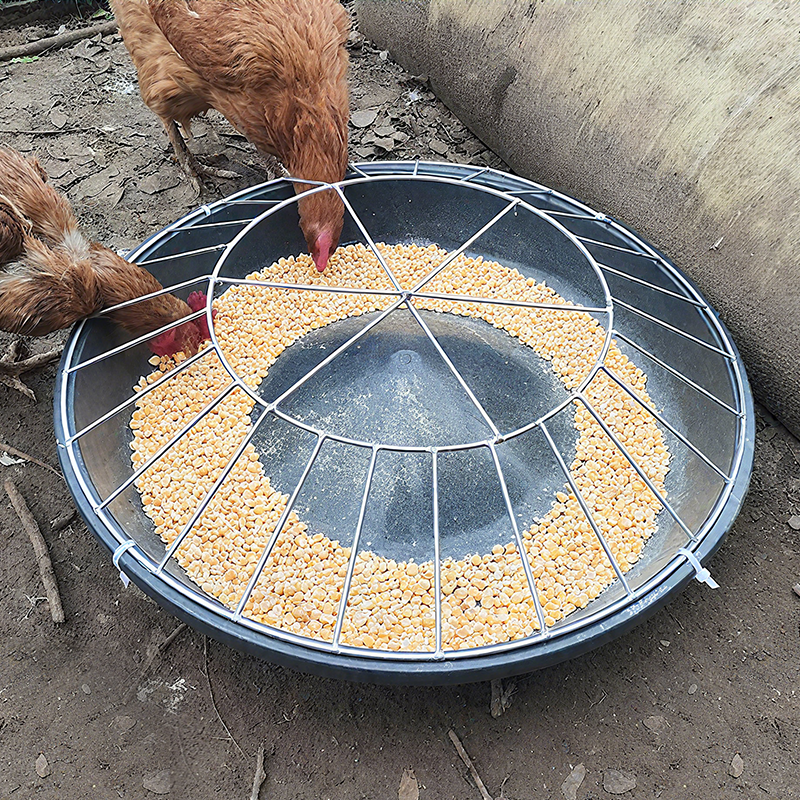 Large-Capacity Poultry Feeder 🐔 – Round Anti-Waste Chicken Feeding Station