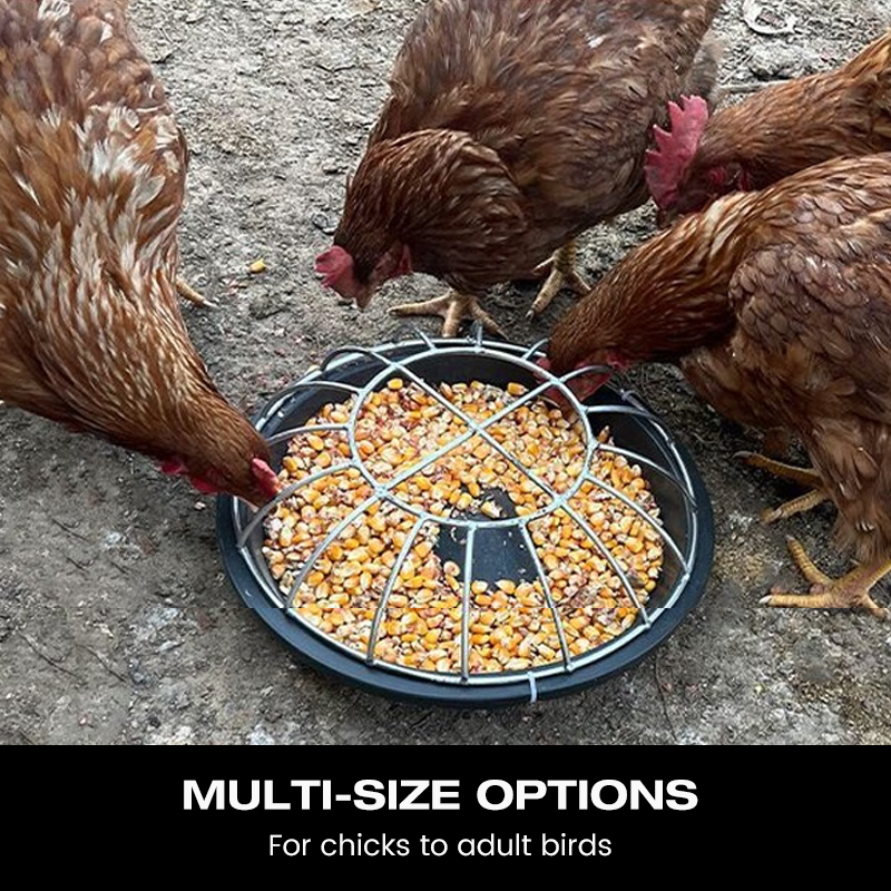 Large-Capacity Poultry Feeder 🐔 – Round Anti-Waste Chicken Feeding Station