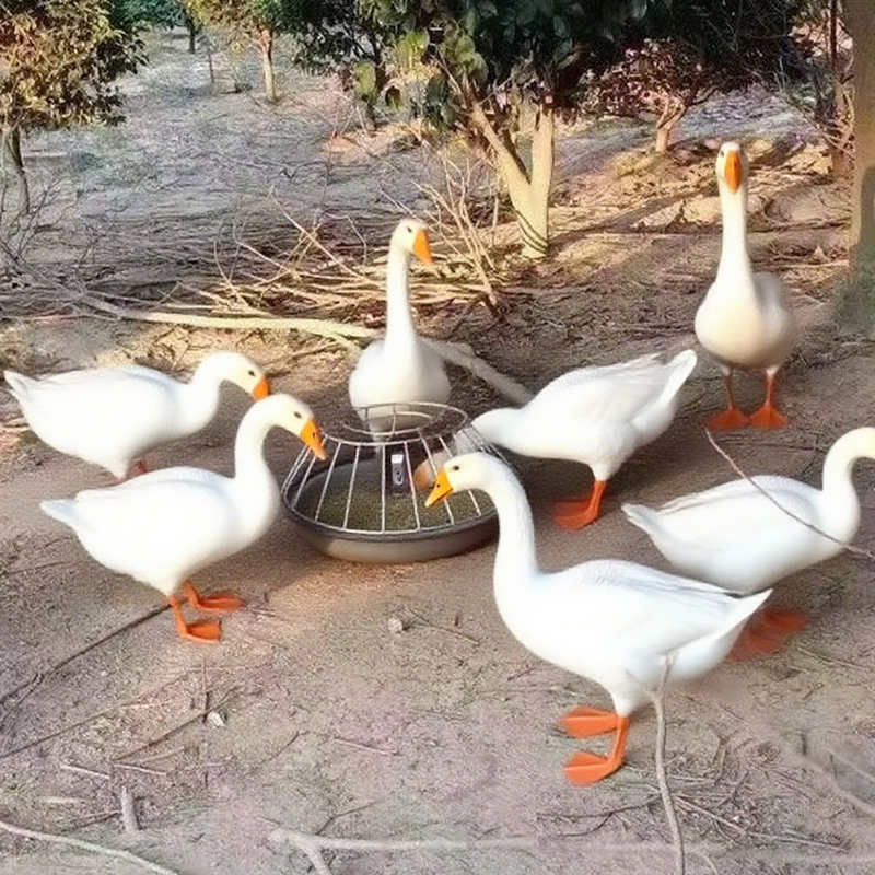 Large-Capacity Poultry Feeder 🐔 – Round Anti-Waste Chicken Feeding Station
