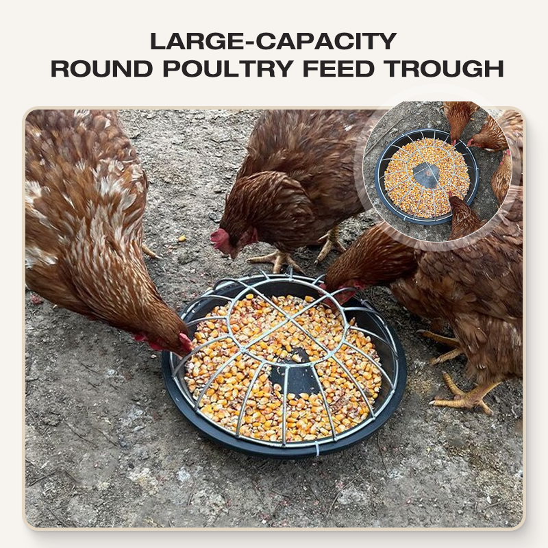 Large-Capacity Poultry Feeder 🐔 – Round Anti-Waste Chicken Feeding Station