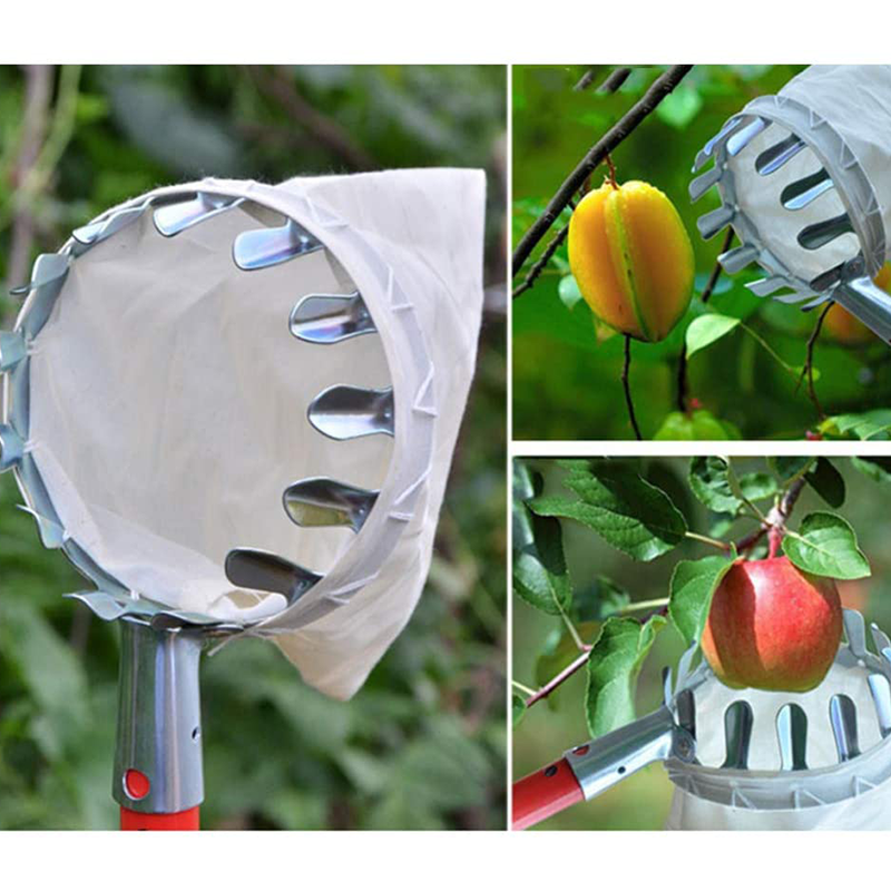 Long-Reach Fruit Picker 🍎 – Metal Basket with Catch Bag | 50% OFF