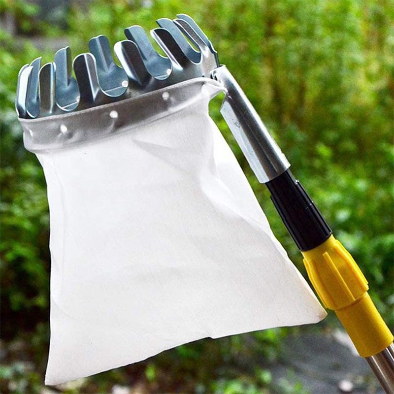Long-Reach Fruit Picker 🍎 – Metal Basket with Catch Bag | 50% OFF