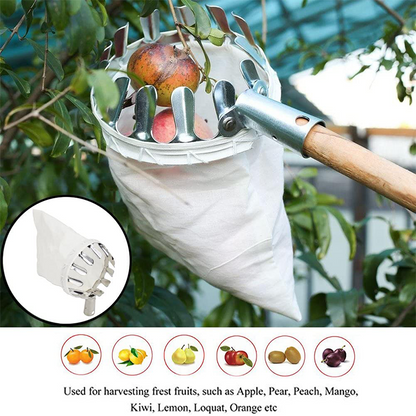 🍎 Fruit Picker with Collection Basket