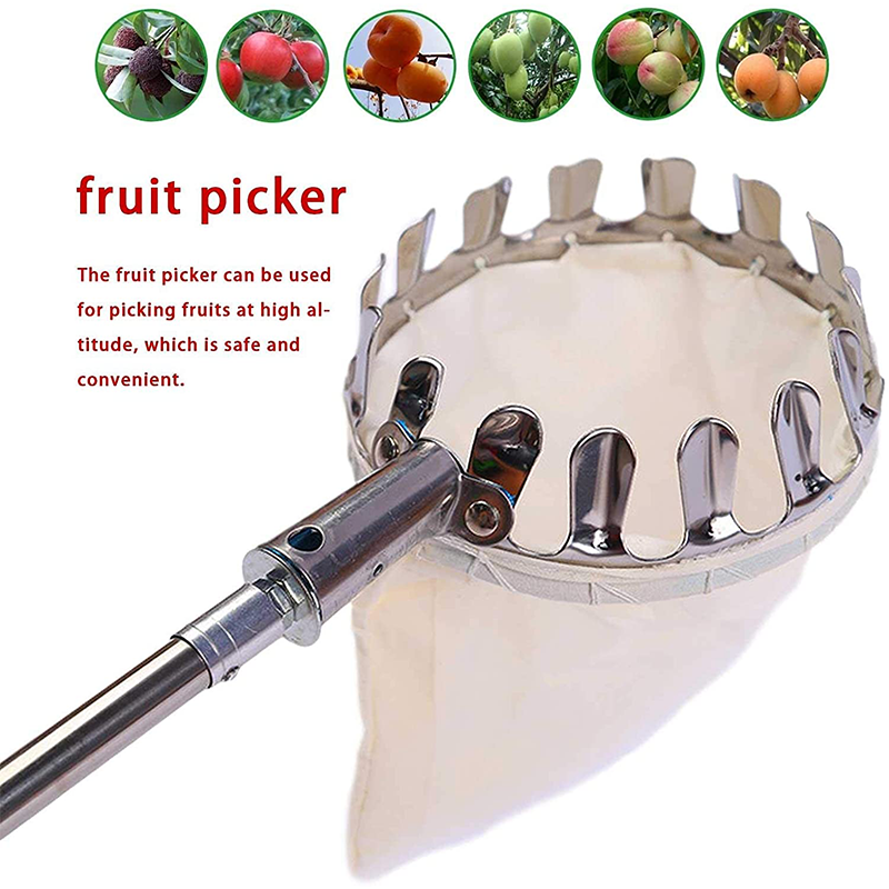 Long-Reach Fruit Picker 🍎 – Metal Basket with Catch Bag | 50% OFF