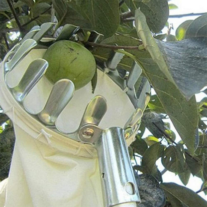 Long-Reach Fruit Picker 🍎 – Metal Basket with Catch Bag | 50% OFF