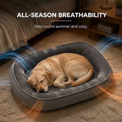 ⏳🔥LIMITED-TIME 50% OFF! ⏰🎁All‑Season Ergonomic Comfort Pet Bed – Snug, Breathable, Cozy 🐾✨