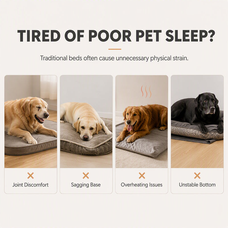 ⏳🔥LIMITED-TIME 50% OFF! ⏰🎁All‑Season Ergonomic Comfort Pet Bed – Snug, Breathable, Cozy 🐾✨