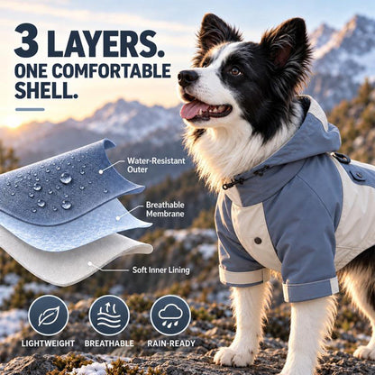 ⏳🔥LIMITED-TIME 50% OFF! ⏰Waterproof Dog Raincoat Colorblock Pet Outdoor with Dirtproof Leg Protection