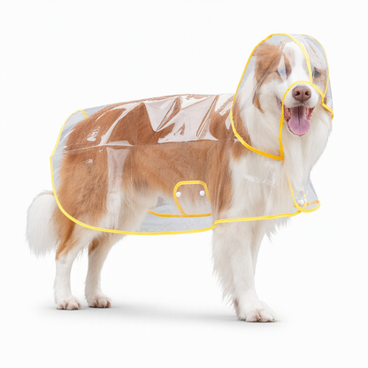 Clear Waterproof Dog Raincoat 🌧️ – Rainy-Day Protection | 50% OFF