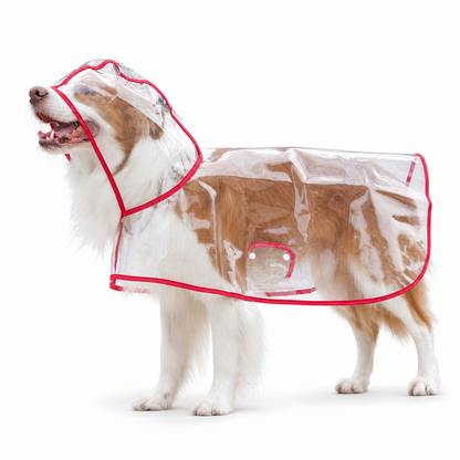 Clear Waterproof Dog Raincoat 🌧️ – Rainy-Day Protection | 50% OFF