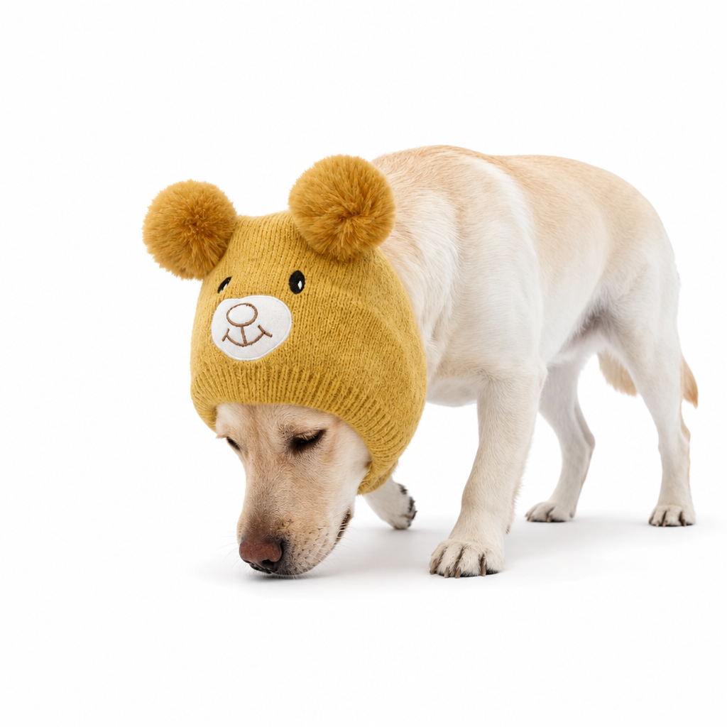 🐶❄️ Puppy Ear Knit Hat – Cozy Winter Warmth with Playful Charm