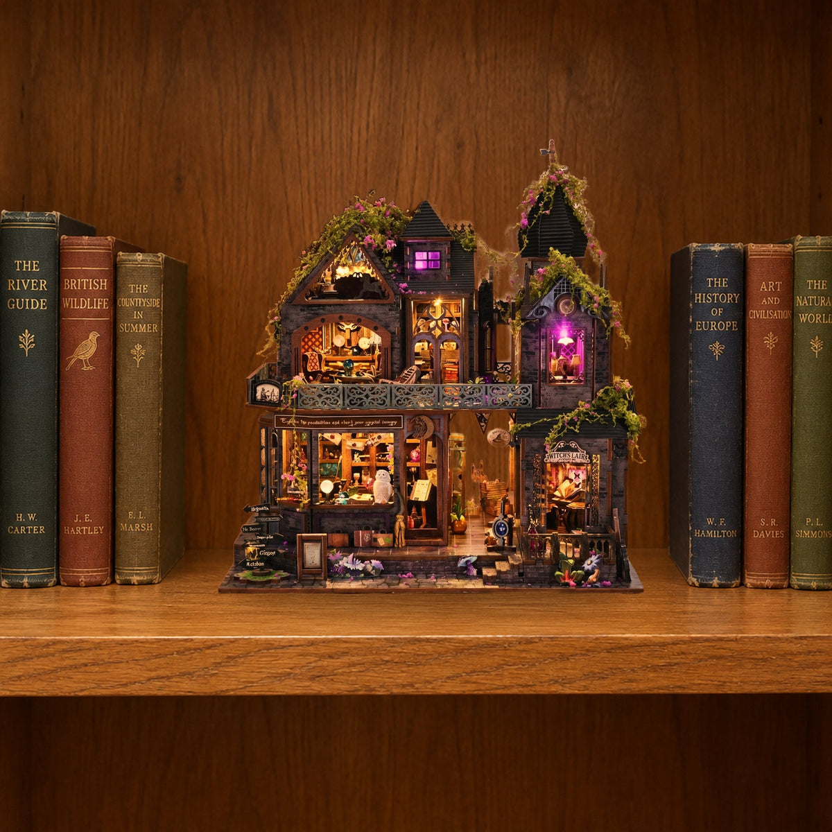✨ Witch's Lair Light-Up DIY Miniature House Kit 🎵 | 50% OFF + FREE SHIPPING